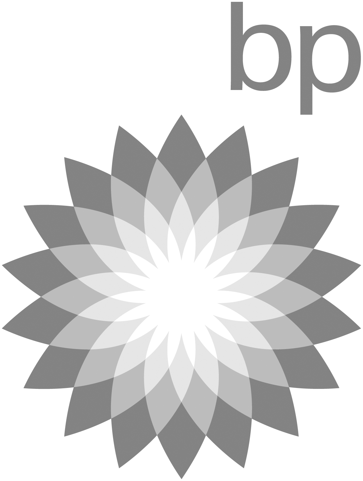 bp bp